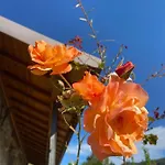 Quinta Dos Mouras Semesterbostad Celorico De Basto