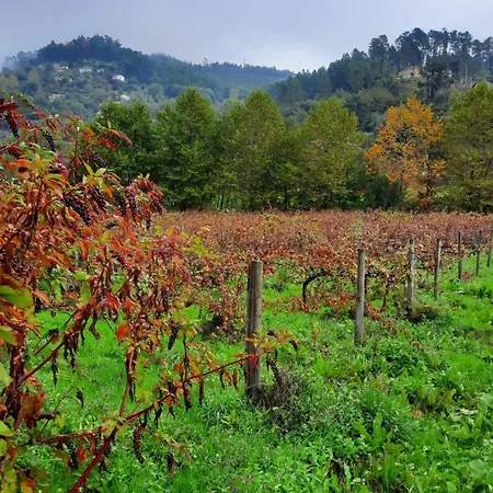 Quinta Dos Mouras * Castelbuono