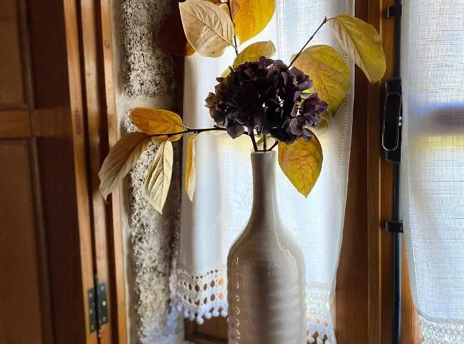 Quinta Dos Mouras بيت للعطل سيلوريكو دي باستو