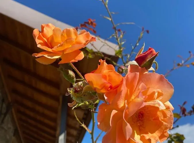 Quinta Dos Mouras Сasa de vacaciones Celorico De Basto